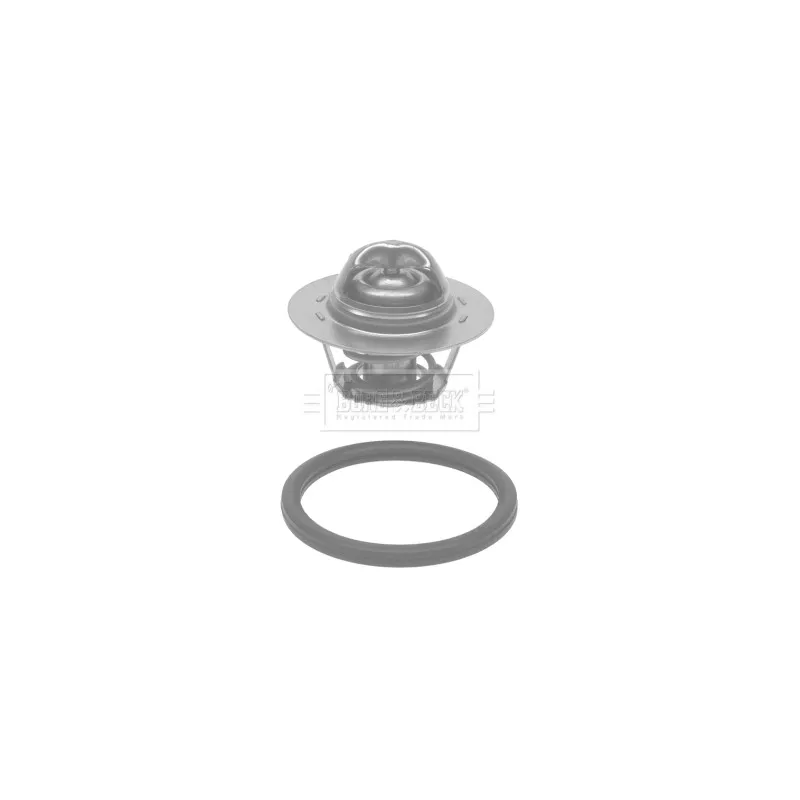 Thermostat d'eau BORG & BECK BTS583.75