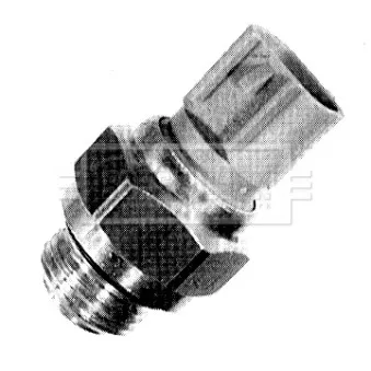 Interrupteur de température, ventilateur de radiateur BORG & BECK