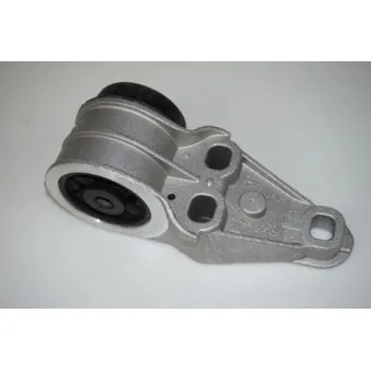 Suspension, corps de l'essieu arrière gauche LTD LTD-4B0501521E