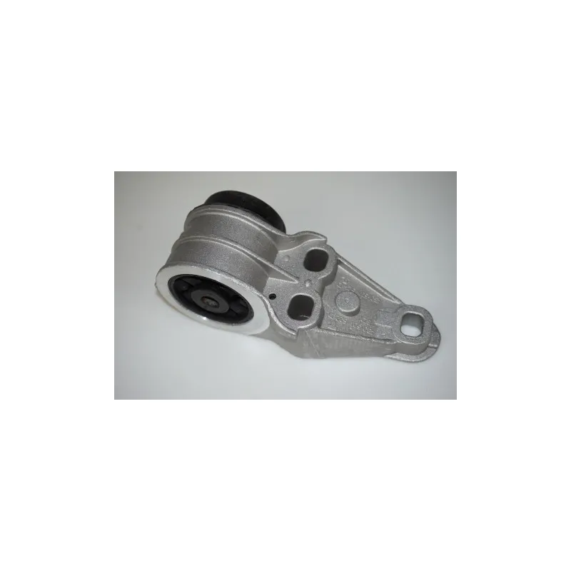 Suspension, corps de l'essieu arrière gauche LTD LTD-4B0501521E