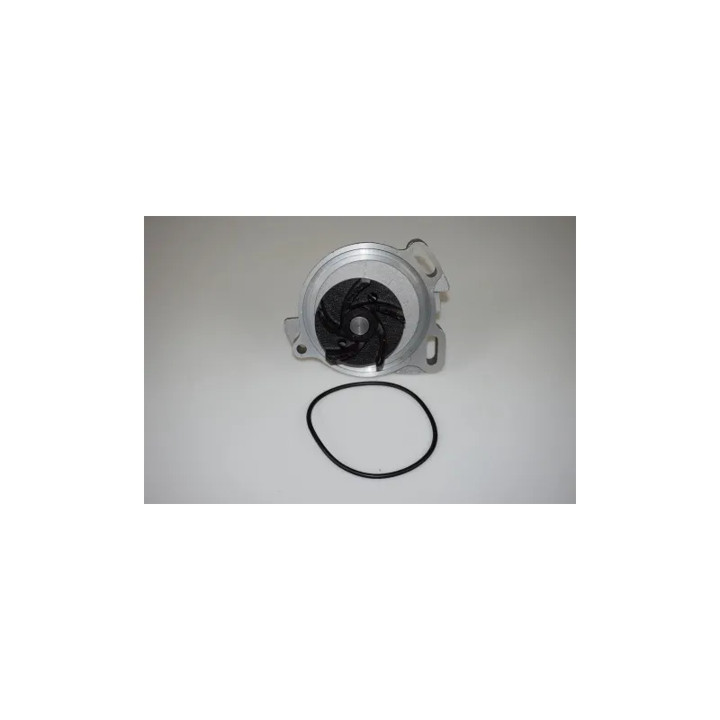 Pompe à eau LTD LTD-023121004X