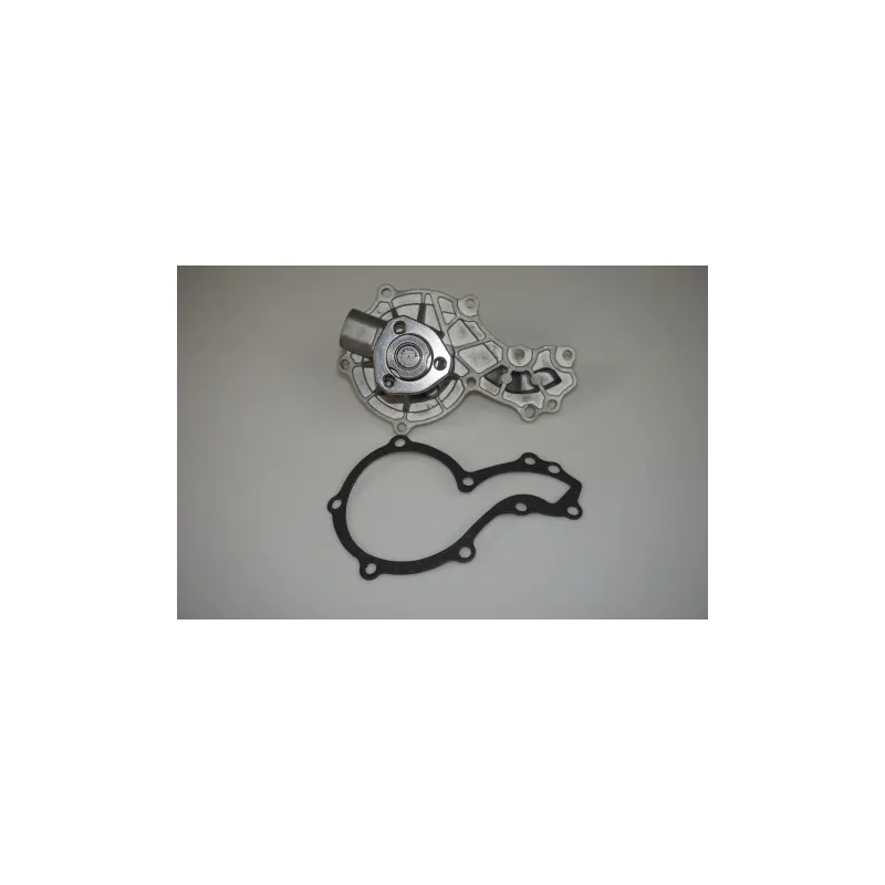 Pompe à eau LTD LTD-026121005F