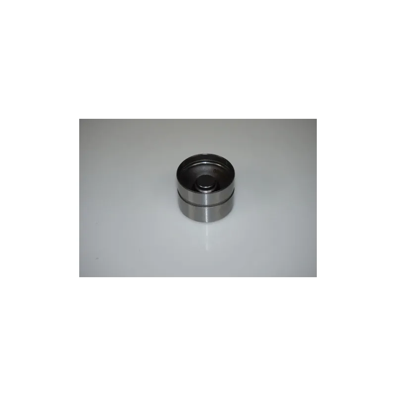 Jeu de 8 poussoirs hydrauliques LTD LTD-034109309AD