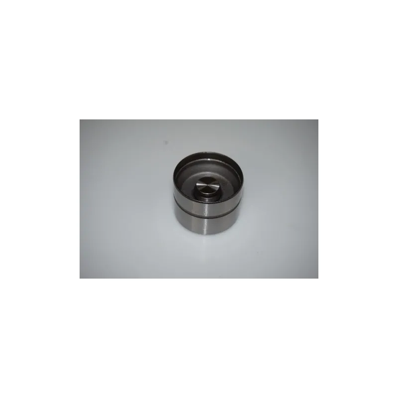 Jeu de 8 poussoirs hydrauliques LTD LTD-038109309C