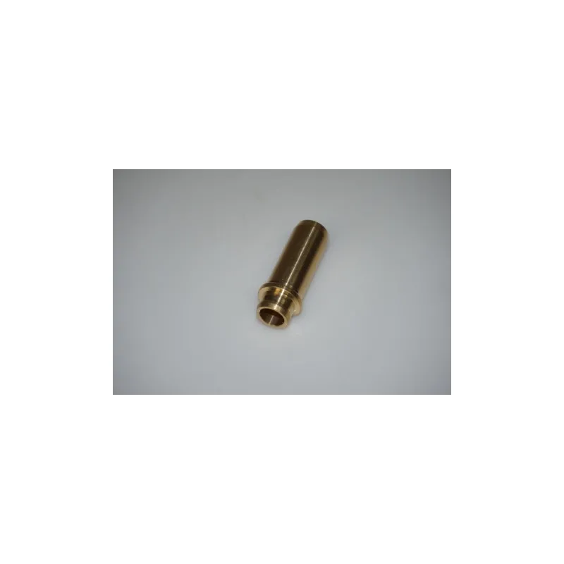 Guide de soupape LTD LTD-056103419A