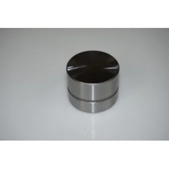 Jeu de 8 poussoirs hydrauliques LTD LTD-058109309E
