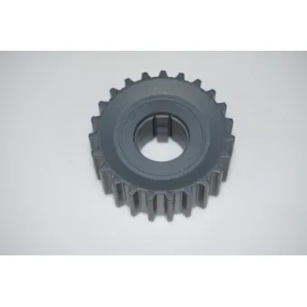 Roue dentée, vilebrequin LTD
