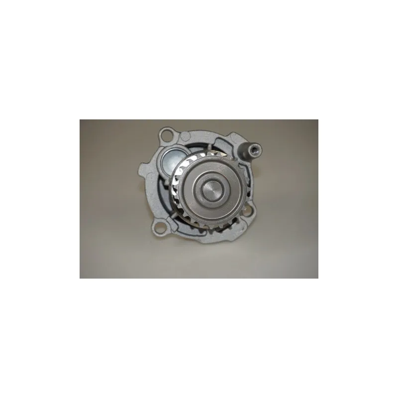 Pompe à eau LTD LTD-06B121011BX