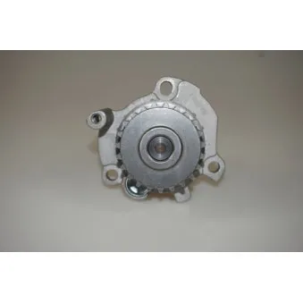 Pompe à eau LTD LTD-06F121011