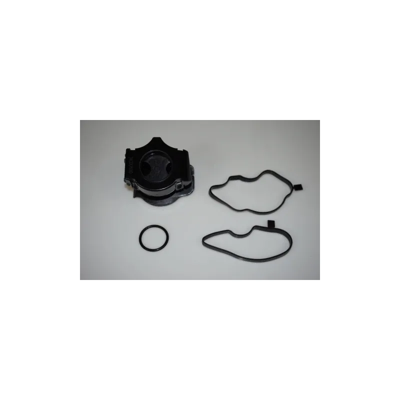 Séparateur d'huile, prise de recyclage des gas de carter LTD LTD-11127799366