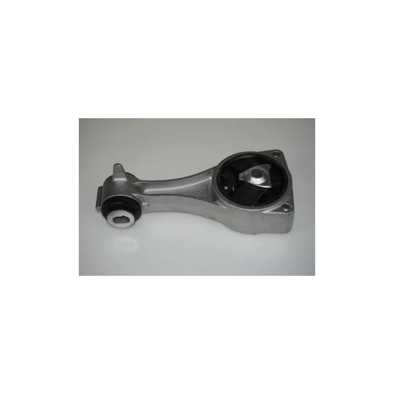 Support moteur LTD LTD-113560001R