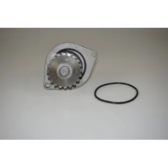 Pompe à eau LTD