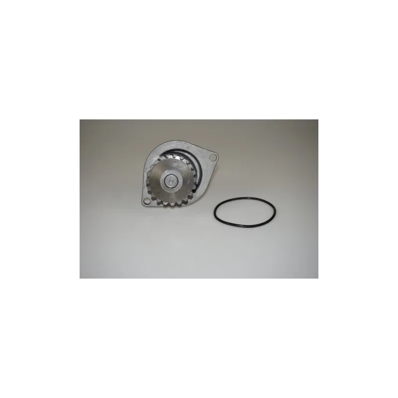 Pompe à eau LTD LTD-1201E4