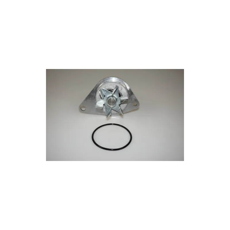 Pompe à eau LTD LTD-1201G2