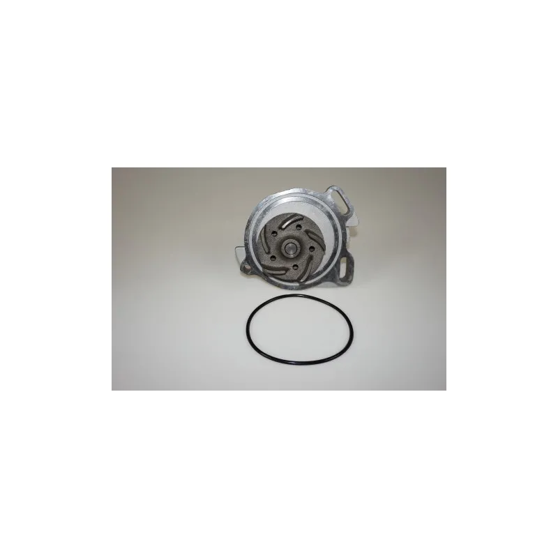 Pompe à eau LTD LTD-1334008