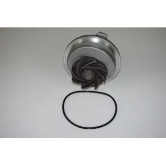 Pompe à eau LTD LTD-1334054