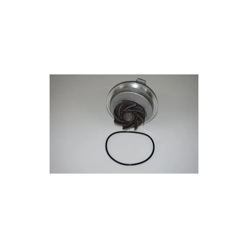 Pompe à eau LTD LTD-1334054