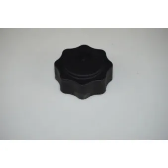 Bouchon, réservoir de liquide de refroidissement LTD LTD-17107515499