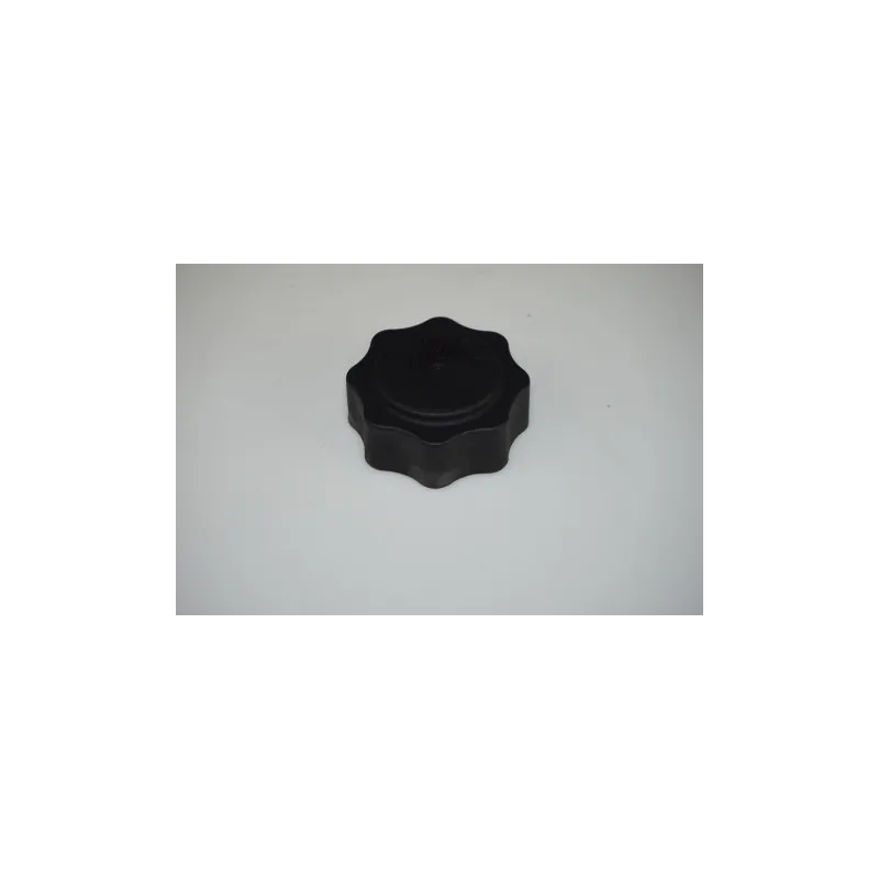 Bouchon, réservoir de liquide de refroidissement LTD LTD-17107515499