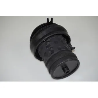 Support moteur LTD LTD-1H0199609B