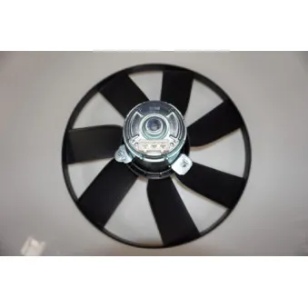 Ventilateur, refroidissement du moteur LTD