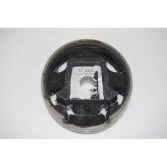 Support moteur LTD LTD-1K0199867A