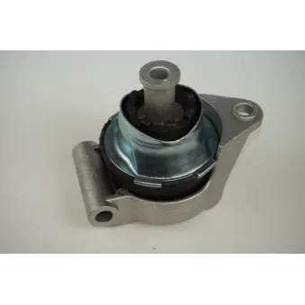 Suspension, boîte de vitesse manuelle LTD LTD-5682534