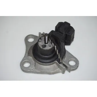 Support moteur LTD LTD-8200267624