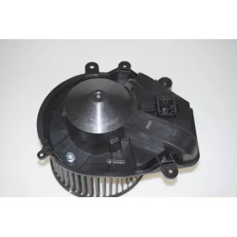 Pulseur d'air habitacle LTD LTD-8D1820021A