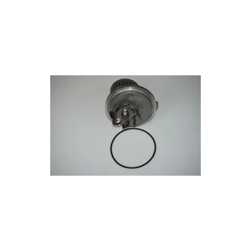 Pompe à eau LTD LTD-24409355