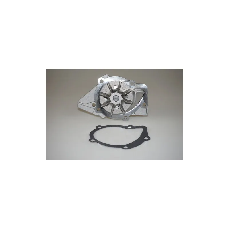 Pompe à eau LTD LTD-120193