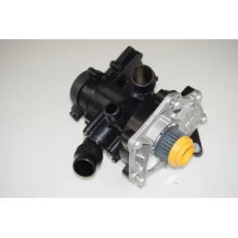 Kit pompe à eau LTD LTD-06K121011