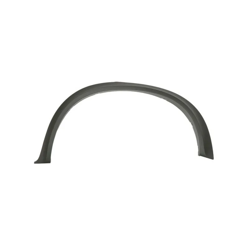 Baguette et bande protectrice, aile arrière gauche BLIC 5703-04-0096595KP