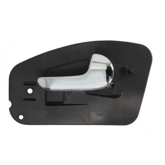 Poignet de porte, équipment intérieur arrière droit BLIC 6010-04-040408TPP