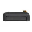 Poignet de porte, équipment intérieur avant gauche BLIC 6010-15-006401P - Visuel 1