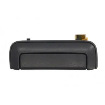 Poignet de porte, équipment intérieur avant gauche BLIC 6010-15-006401P