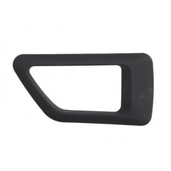Poignet de porte, équipment intérieur avant droit BLIC 6010-21-015408PP