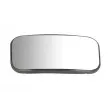 Verre de rétroviseur, rétroviseur extérieur BLIC 6102-02-2247373P - Visuel 1