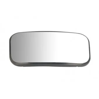 Verre de rétroviseur, rétroviseur extérieur BLIC 6102-02-2247373P