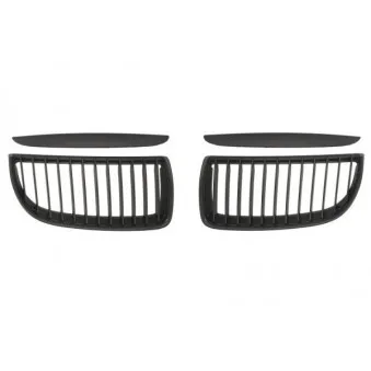 Grille de radiateur BLIC 6502-07-0062991KP