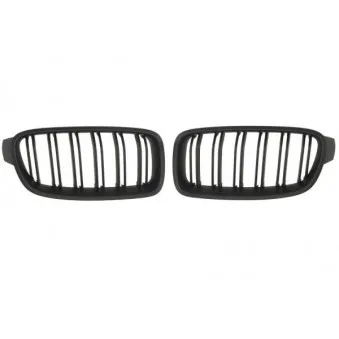 Grille de radiateur BLIC 6502-07-0063991KP
