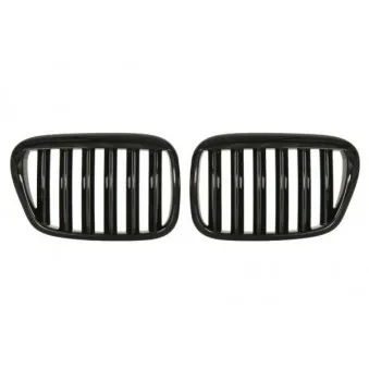 Grille de radiateur BLIC 6502-07-00659911KP