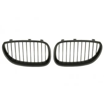 Grille de radiateur BLIC 6502-07-0066991KP