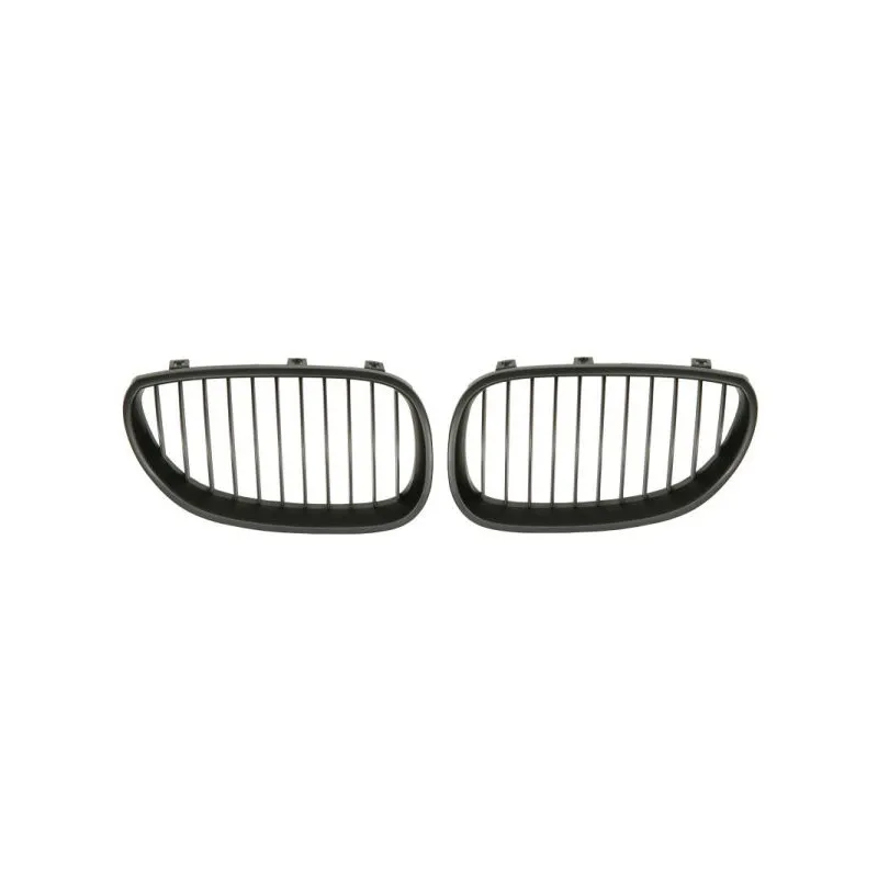 Grille de radiateur BLIC 6502-07-0066991KP