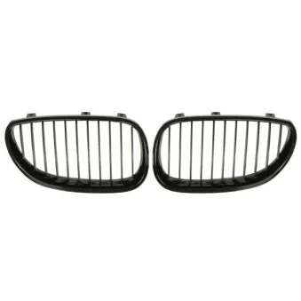 Grille de radiateur BLIC 6502-07-0066992KP