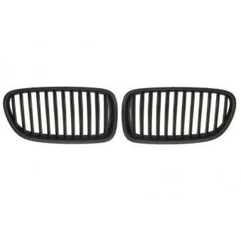 Grille de radiateur BLIC 6502-07-0067991KP