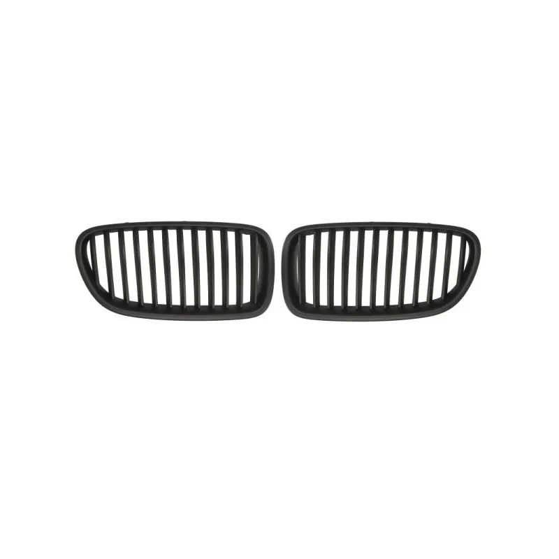 Grille de radiateur BLIC 6502-07-0067991KP