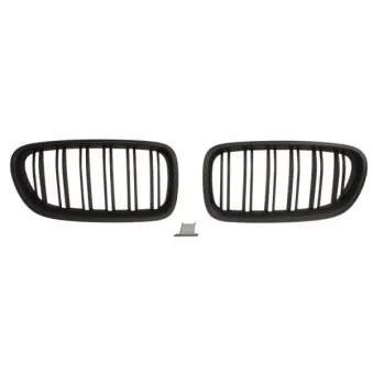 Grille de radiateur BLIC 6502-07-0067992KP