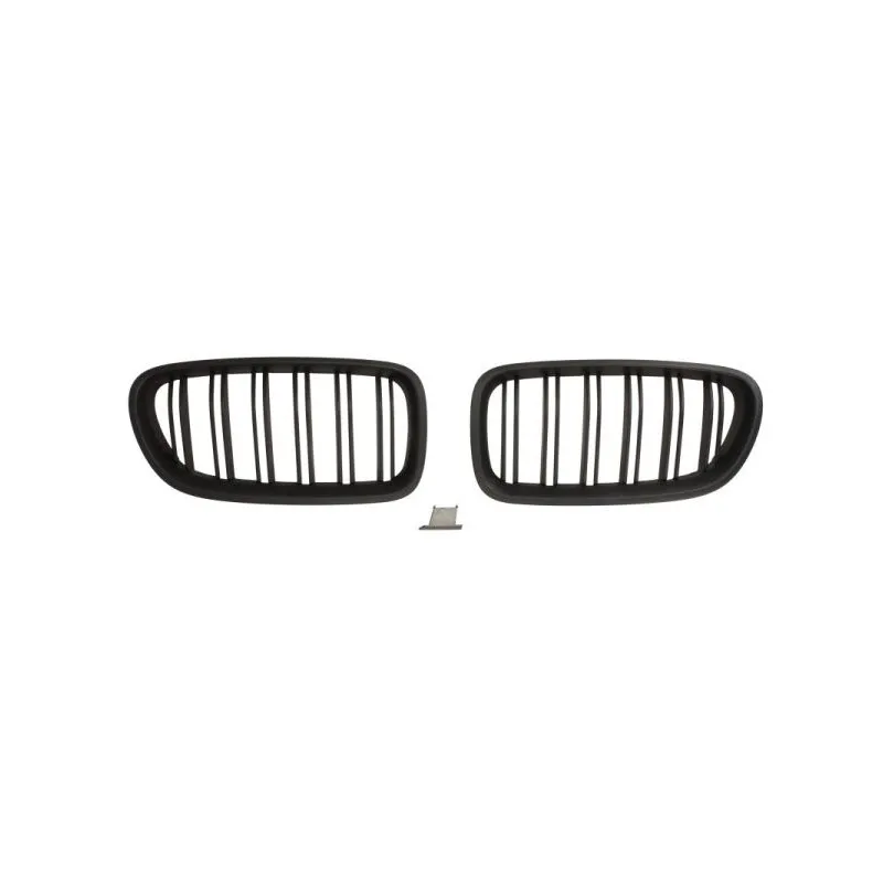 Grille de radiateur BLIC 6502-07-0067992KP
