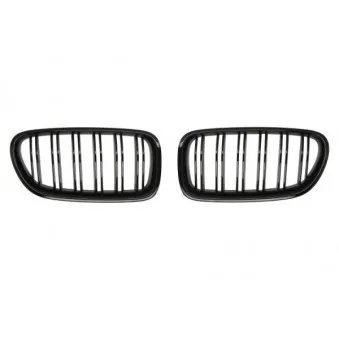 Grille de radiateur BLIC 6502-07-0067993KP